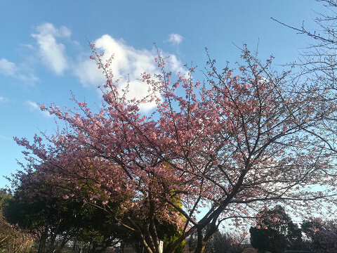 resize10_2377.jpg