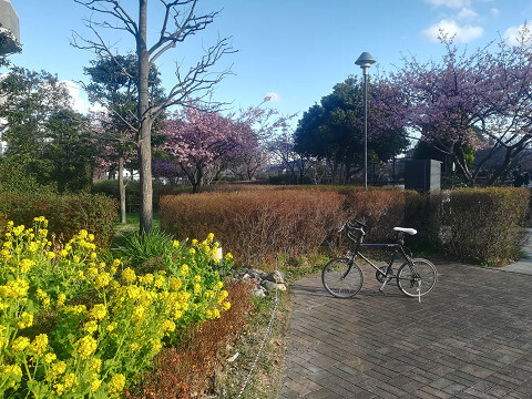 resize10_2378.jpg