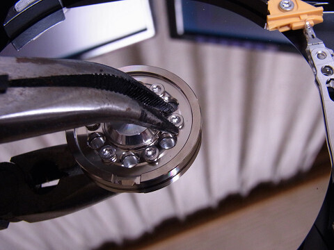resize7_0740.jpg