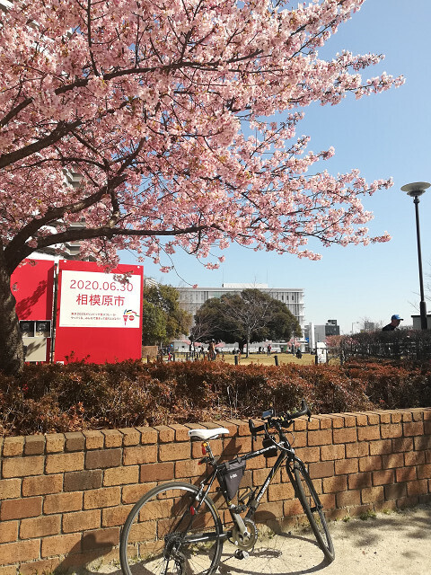 resize7_2314.jpg