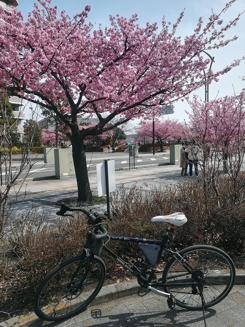 resize7_2346.jpg